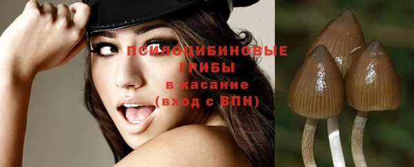альфа пвп Магас
