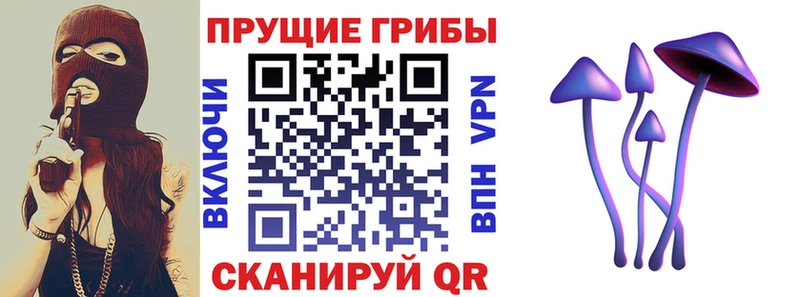 Галлюциногенные грибы прущие грибы  купить   Балаково 