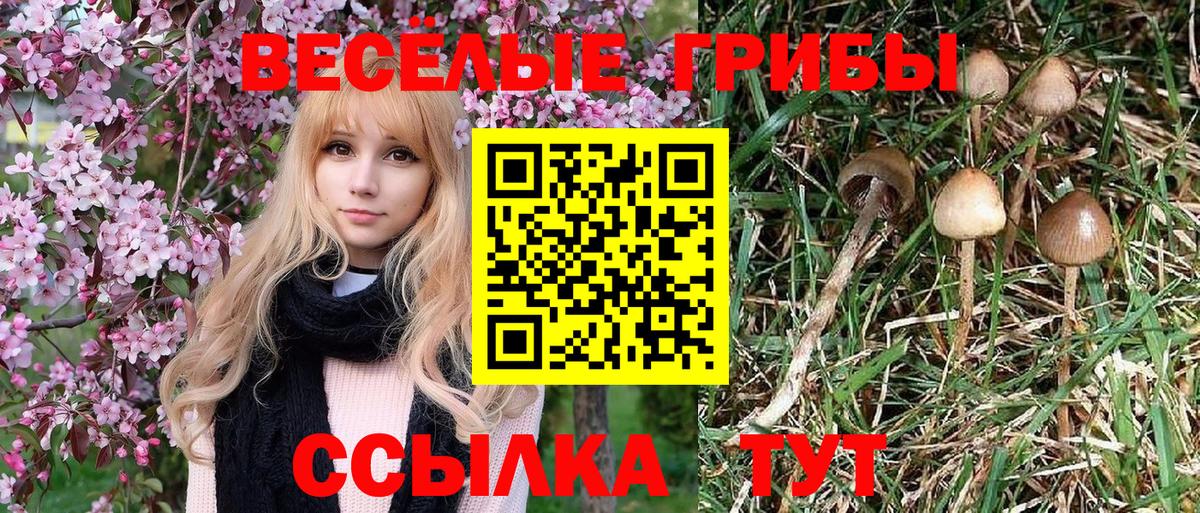 Псилоцибиновые грибы мухоморы Балаково