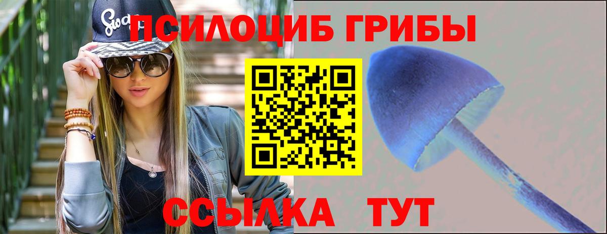 Галлюциногенные грибы мицелий  Вход с VPN  Балаково  Галлюциногенные грибы Cubensis 